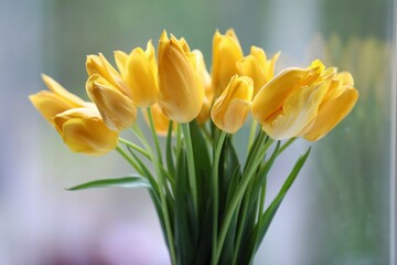 Obraz premium Bouquet of beautiful tulips on blurred background, closeup