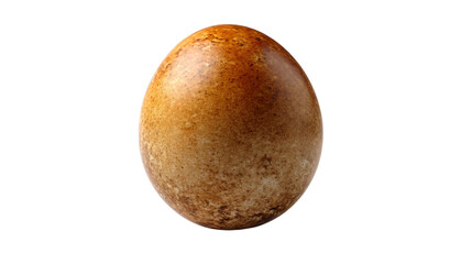 Fototapeta premium a large egg with a brown speckled shell