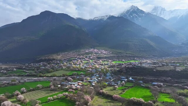 Peach blossoms and rivers in Bome Nyingchi Tibet