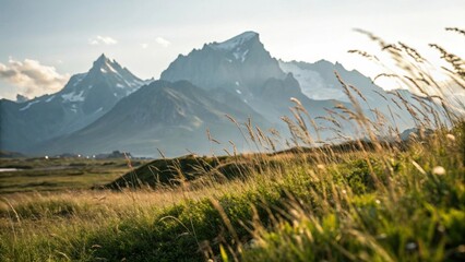 Fototapeta premium Blurred Grass, Focused Mountains: Scenic Contrast
