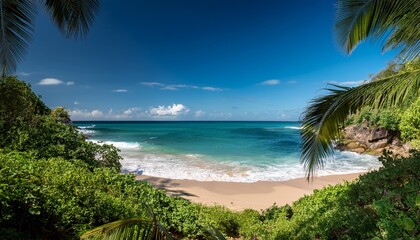 tranquil tropical beach scene framed by lush greenery and soft waves