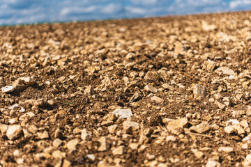Close-up on rendzina soil with fragments of limestone rocks on the surface