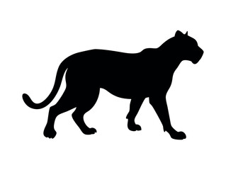 Striking Silhouette of a Panther in Profile, Walking Wildcat, Panther, Powerful Panther Silhouette, Perfect for Wildlife Design, panther, silhouette, wildlife, animal, cat, predator, jungle, savanna, 