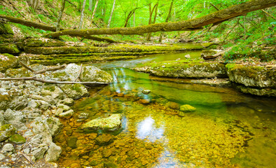 small mountain brook rushing over a stones in mountain canyon