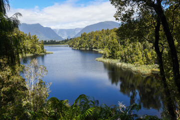 Nature of the walk at Lake Matheson in New Zealand