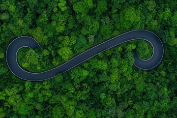 Scenic Aerial View of Winding Road in Lush Green Forest Landscape