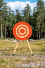 Colorful Target in Natural Setting for Outdoor Sports and Activities