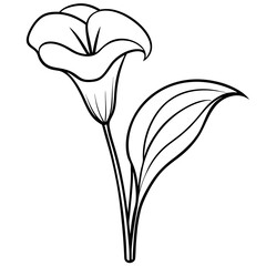 "Minimal Calla Lily Vector on White