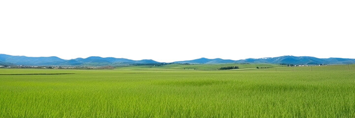 Naklejka premium PNG Sunny weather landscape outdoors horizon.