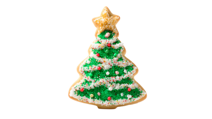 a decorated cookie with a star on top