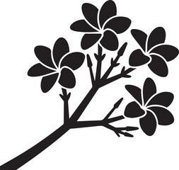 frangipani flower vector, plumeria illustration, tropical flower design, frangipani blossom art, floral clipart, exotic flower graphic, white flower vector, summer bloom vector