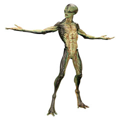 3D Rendering Green Alien on White