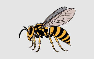 Fototapeta premium Striking Yellowjacket Wasp Illustration a Detailed Insect Depiction