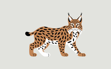 Fototapeta premium Cartoon Bobcat Illustration Vector Image for Print Design