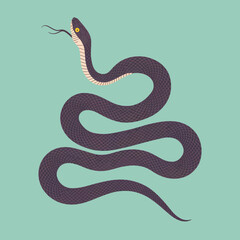 Fototapeta premium Elegant Isolated Snake Vector Illustration on Aqua Background