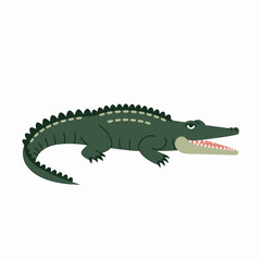 Obraz premium Simple Cartoon Alligator Illustration Vector for Graphic Design