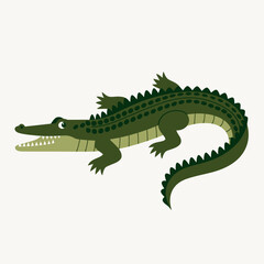 Obraz premium Cartoon Alligator Illustration of Green Crocodile Isolated on White