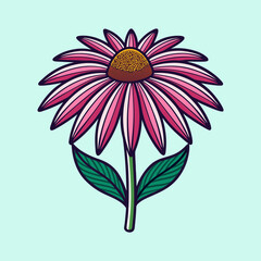 Vibrant Pink Coneflower with Green Leaves Detailed Illustration