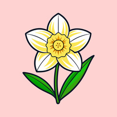 A Delightful Illustration of a Single Daffodil Flower Blooming Gracefully