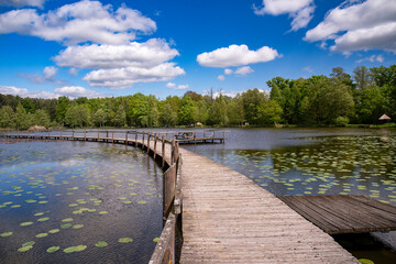 Naklejka premium Forest Arboretum in Stradomia Dolna, Poland.