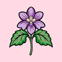 A Delicate Purple Flower with Lush Green Leaves on a Pink Background Botanical Illustration