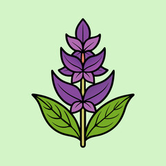 A Vibrant Purple Flower with Green Leaves Botanical Illustration