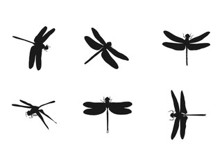 Dragonfly silhouettes set. Dragonfly icon silhouette vector illustration. Dragonfly black silhouette in white background.

