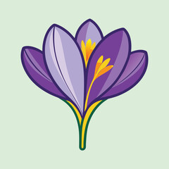 Naklejka premium Vibrant Purple Crocus Flower Illustration Spring Blossom Nature Graphic Design