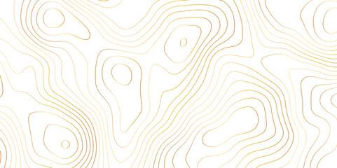 Abstract topographic map contour, white background and colorful wave lines pattern texture. geographic contour map grid backdrop paper texture. terrain path isolated on a background.	