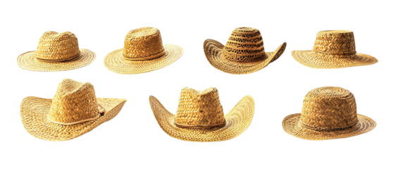 Collection Pack of Miniature Cowboy Hats Leopard Print Hat Images set against transparent background