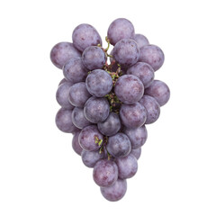 Fototapeta premium Isolated bunch of ripe purple grapes cascading downwards organically