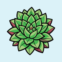A Vibrant Green Echeveria Succulent Plant Illustration Featuring Detailed Leaves and a Central Rosette