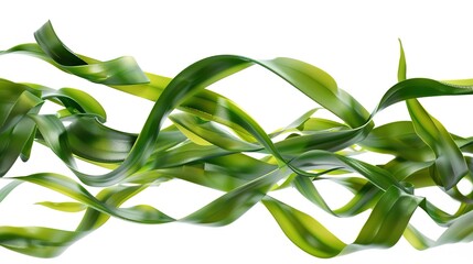 Obraz premium A set of green seaweed strips are isolated on a pure white background, created by Generative Ai. The long, slender strips of seaweed with their distinct green color are clearly presented, 