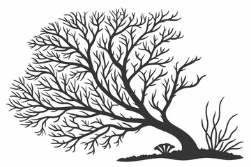sea fan sihouette black vector