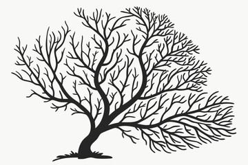 sea fan sihouette black vector