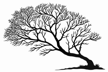 sea fan sihouette black vector