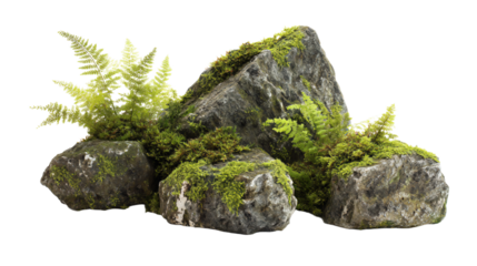 a pile of rocks with moss growing on them
