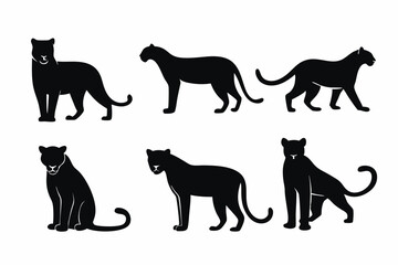 set of Panther icon vector silhouette illustration isolated on white background