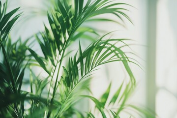 Fototapeta premium Close-up view of lush green palm leaves indoors.