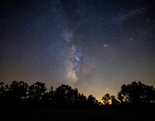 Fototapeta premium Milky Way Over Silhouetted Trees At Night