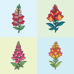 Collection of Four Colorful Snapdragon Flowers Illustrations