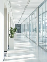Modern office interior with glass wall and potted plants perspective view bright light clean design architecture