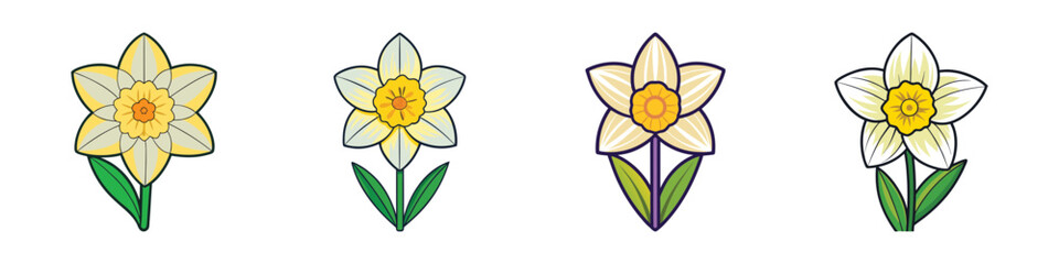 Collection of Four Different Daffodil Flower Illustrations