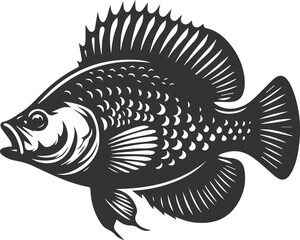 Vector silhouette of a crappie fish