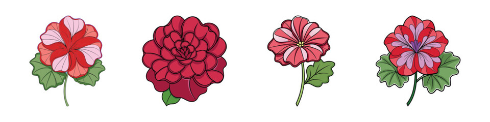Fototapeta premium Collection of Four Beautiful Red and Pink Flowers with Green Leaves Botanical Illustration