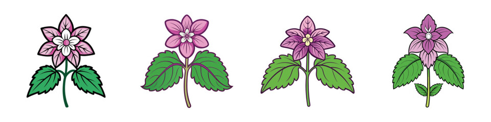 Collection of Four Purple Flower Illustrations with Green Leaves