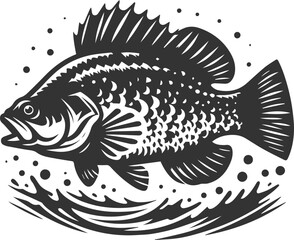 Vector silhouette of a crappie fish