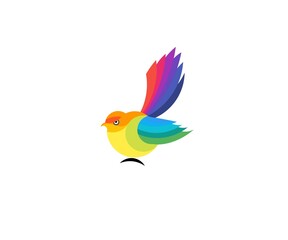 vector illustration of a colorful bird