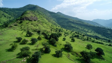 Obraz premium Aerial view of rolling green hills and valleys under a bright blue sky with clouds. 