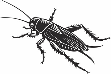 cricket sihouette black vector